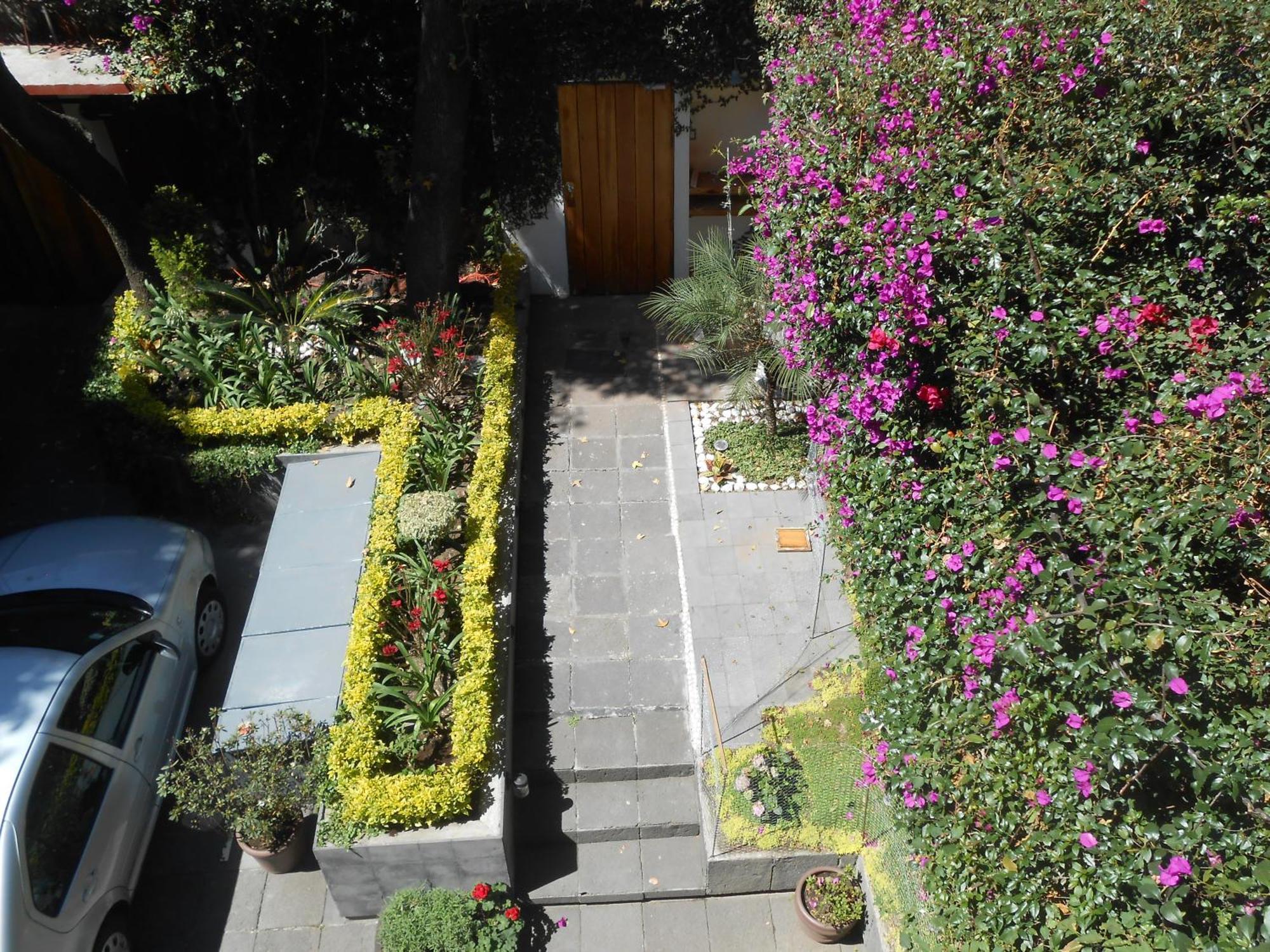 Terraza & Loft San Angel Apartment Mexico City Exterior photo